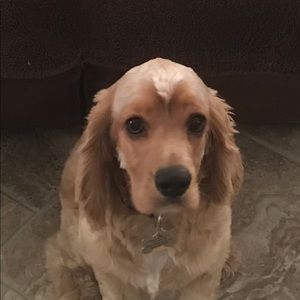 Meet your Posher, Elisabeth